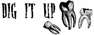 logo Dig It Up